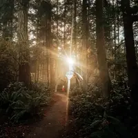 Sunset at Pentillium by Gary Gunderson at Price Sculpture Forest