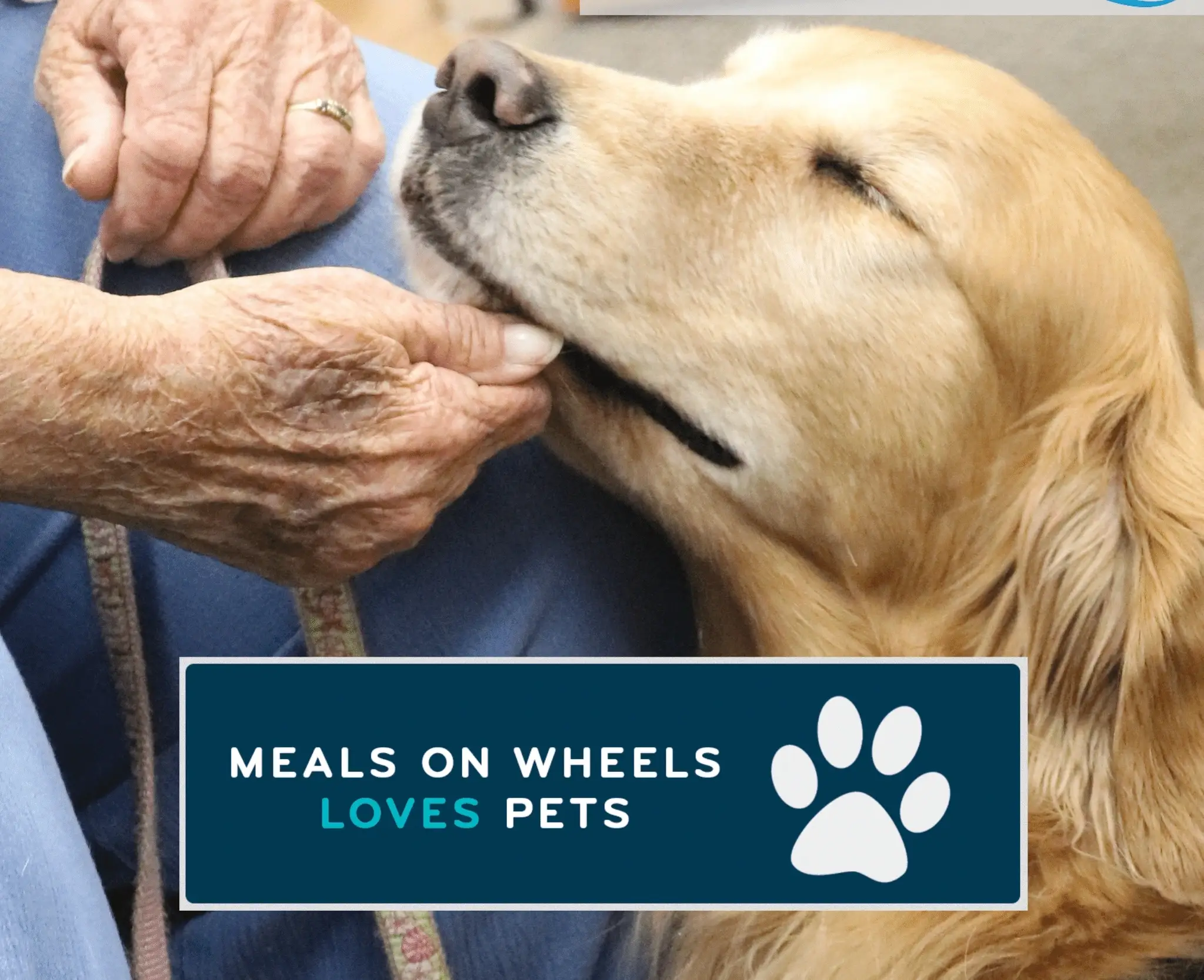 Providing Animal Wellness and Support, PAWS