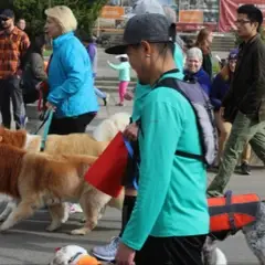 Halloween Pet Parade