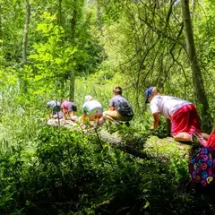 kids exploring outdoors