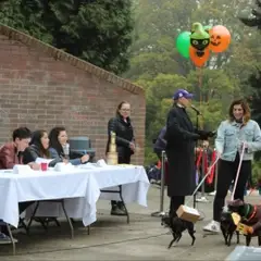 Halloween Pet Parade