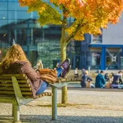 Students on a bench