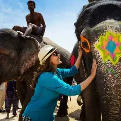 elephant in India