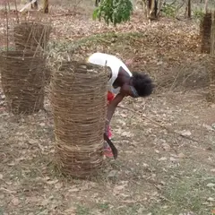 Training women in Bee keeping