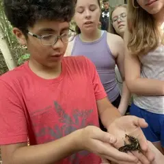 camper meeting an animal