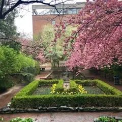 Brooklyn College Lily Pond