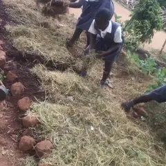 School Gardening