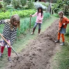 Sacramento Waldorf School's Lower School students in gardening class on the working farm