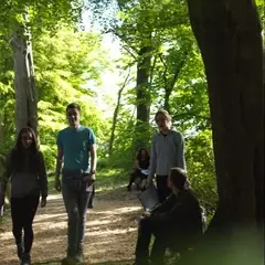 Lancaster University campus woodland