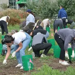 Corporate volunteer composting at a community garden in Los Angeles.