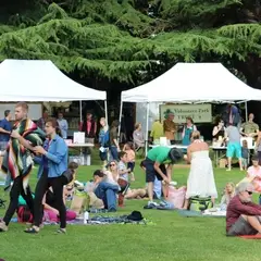 Summer Picnic in Volunteer Park