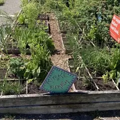 Grow more food with less space