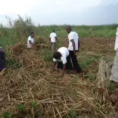 Organization Members in the garden