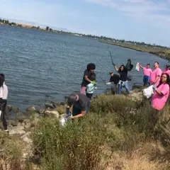 Shoreline cleanups