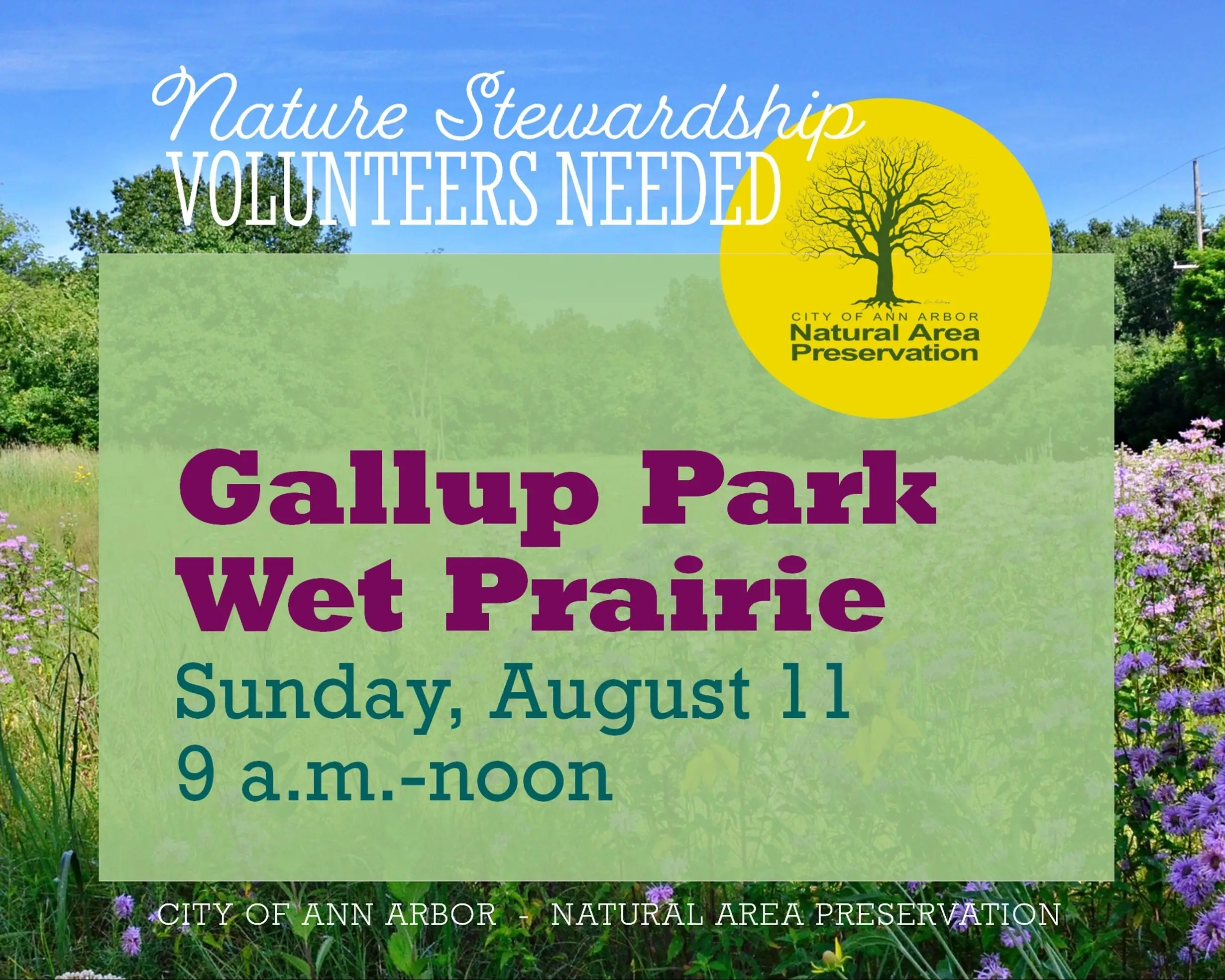 Stewardship Workday at Gallup Wet Prairie