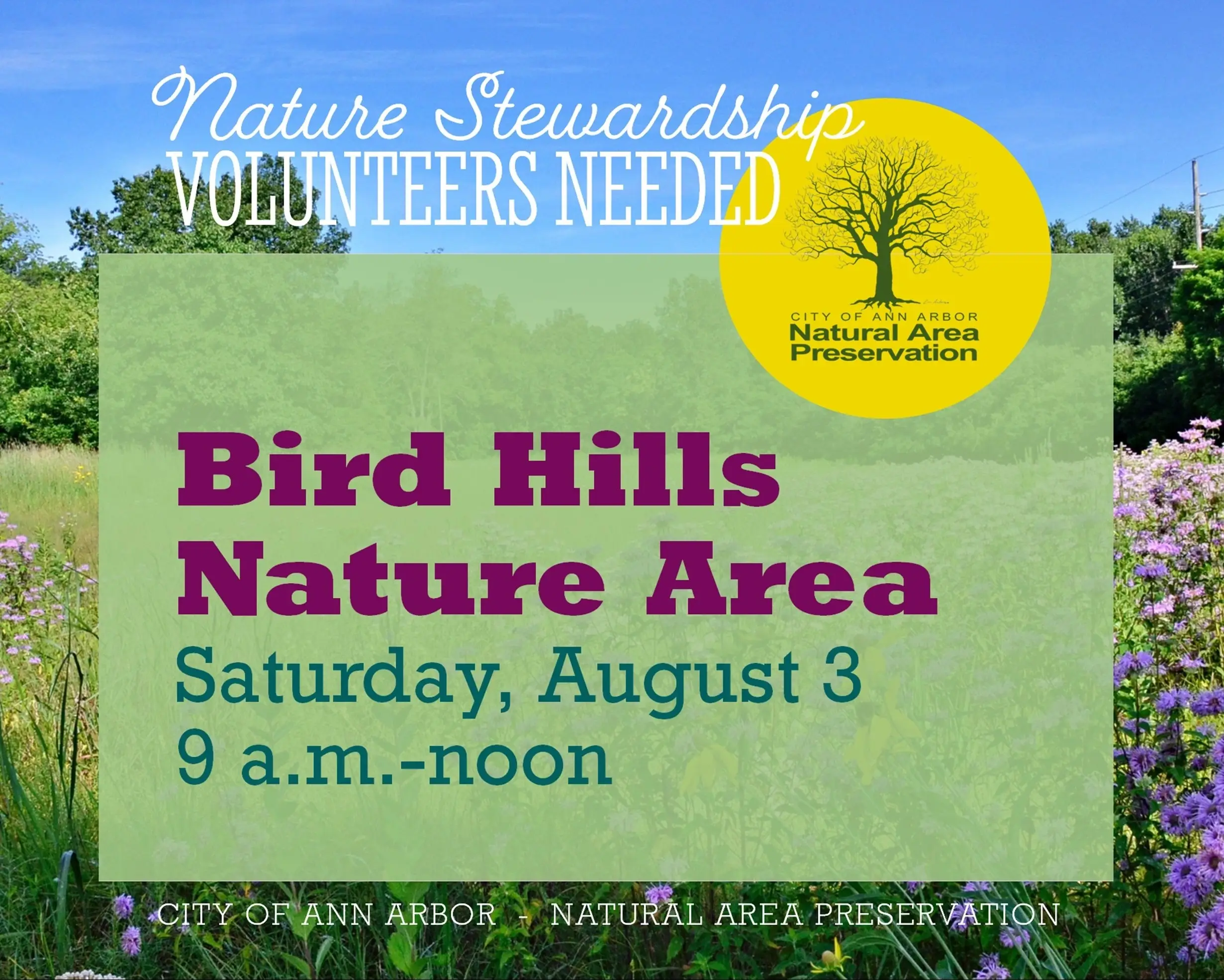 Stewardship Workday at Bird Hills Nature Area