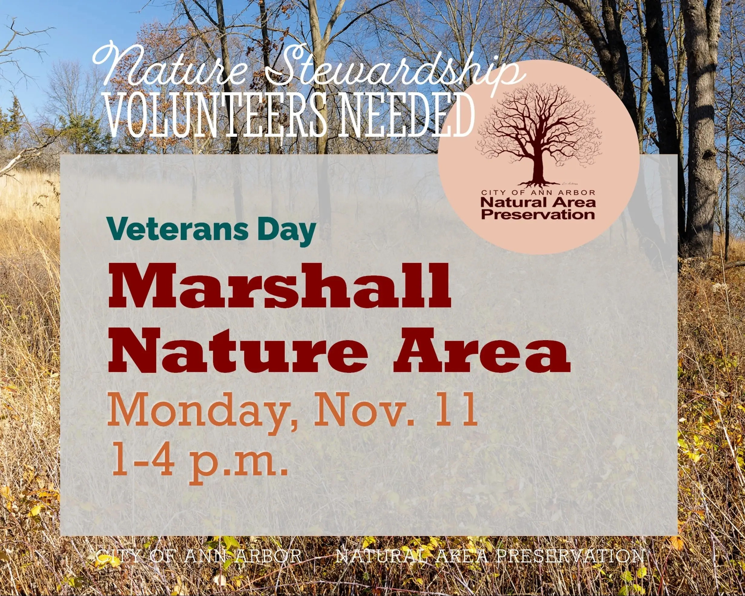 Volunteer for Nature at Marshall Nature Area for Veterans Day