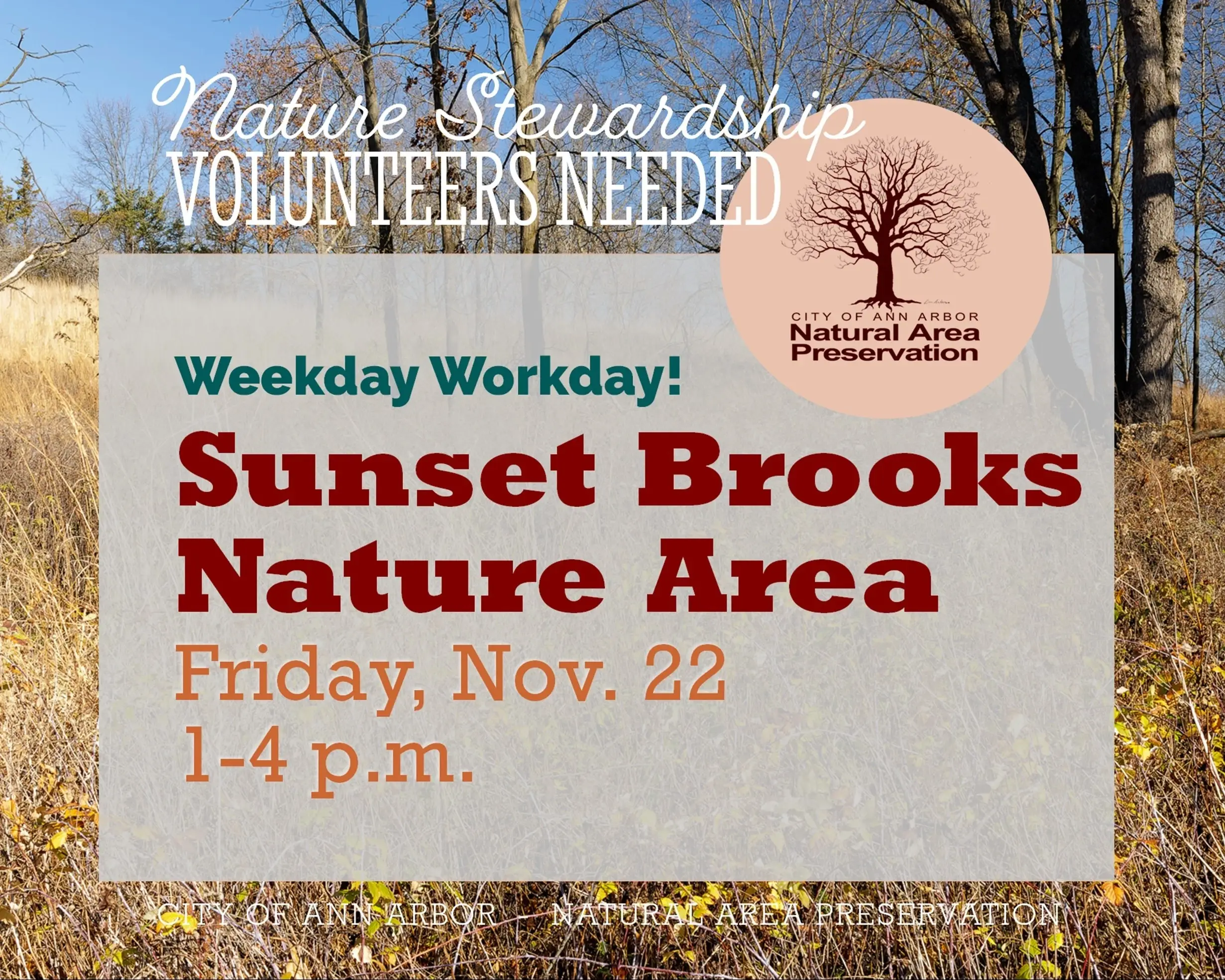 Volunteer for Nature at Sunset Brooks Nature Area