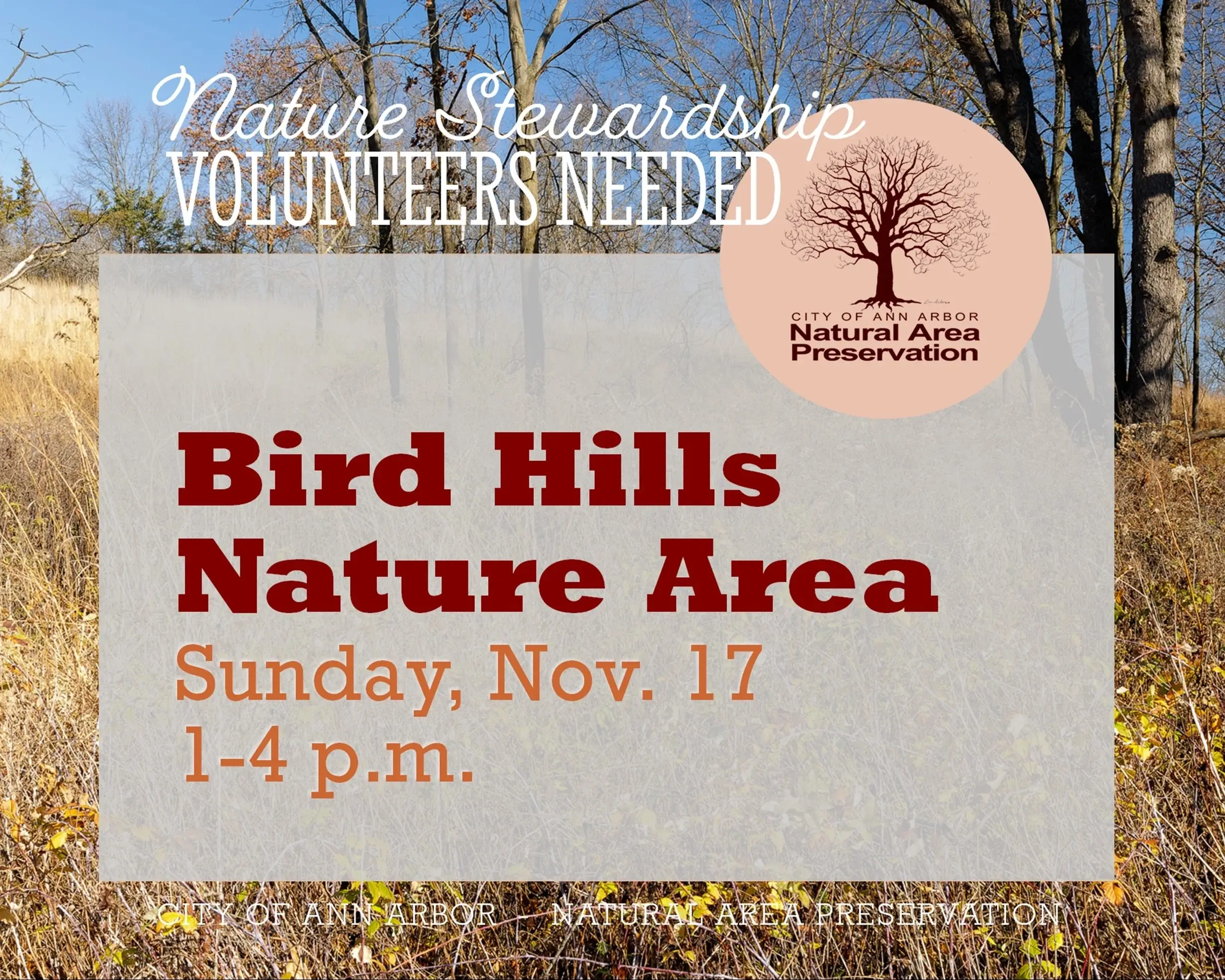 Volunteer for Nature at Bird Hills Nature Area