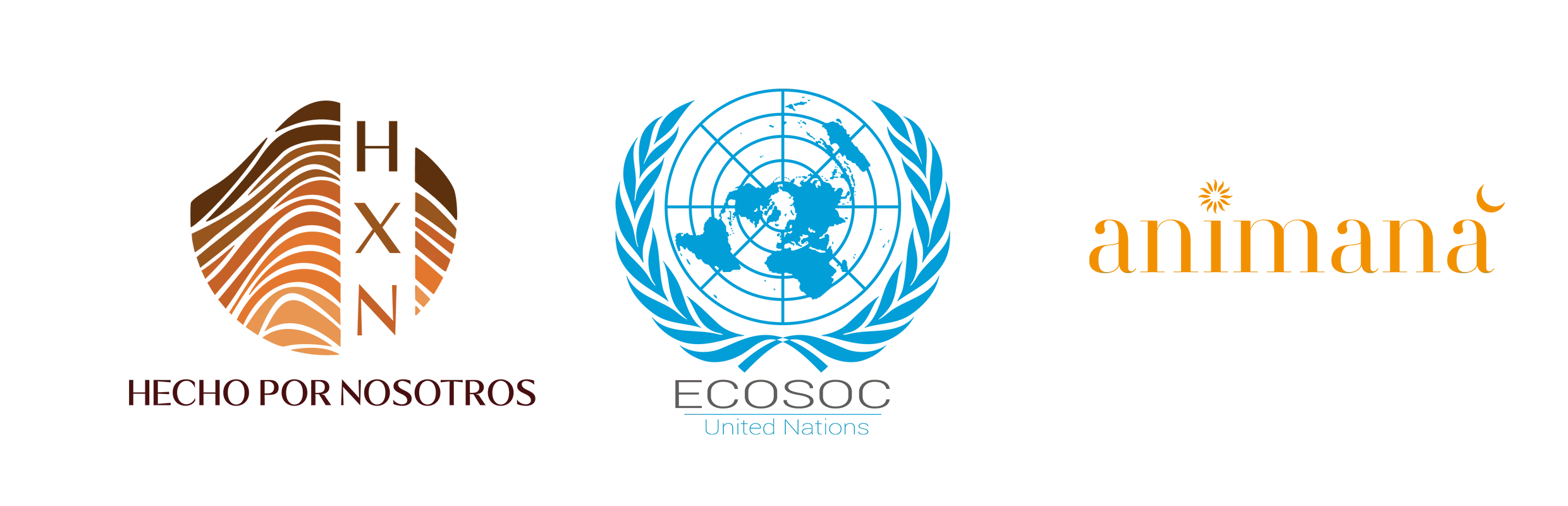 Volunteer at United Nations Program through Ecosoc Status of Hecho por Nosotros