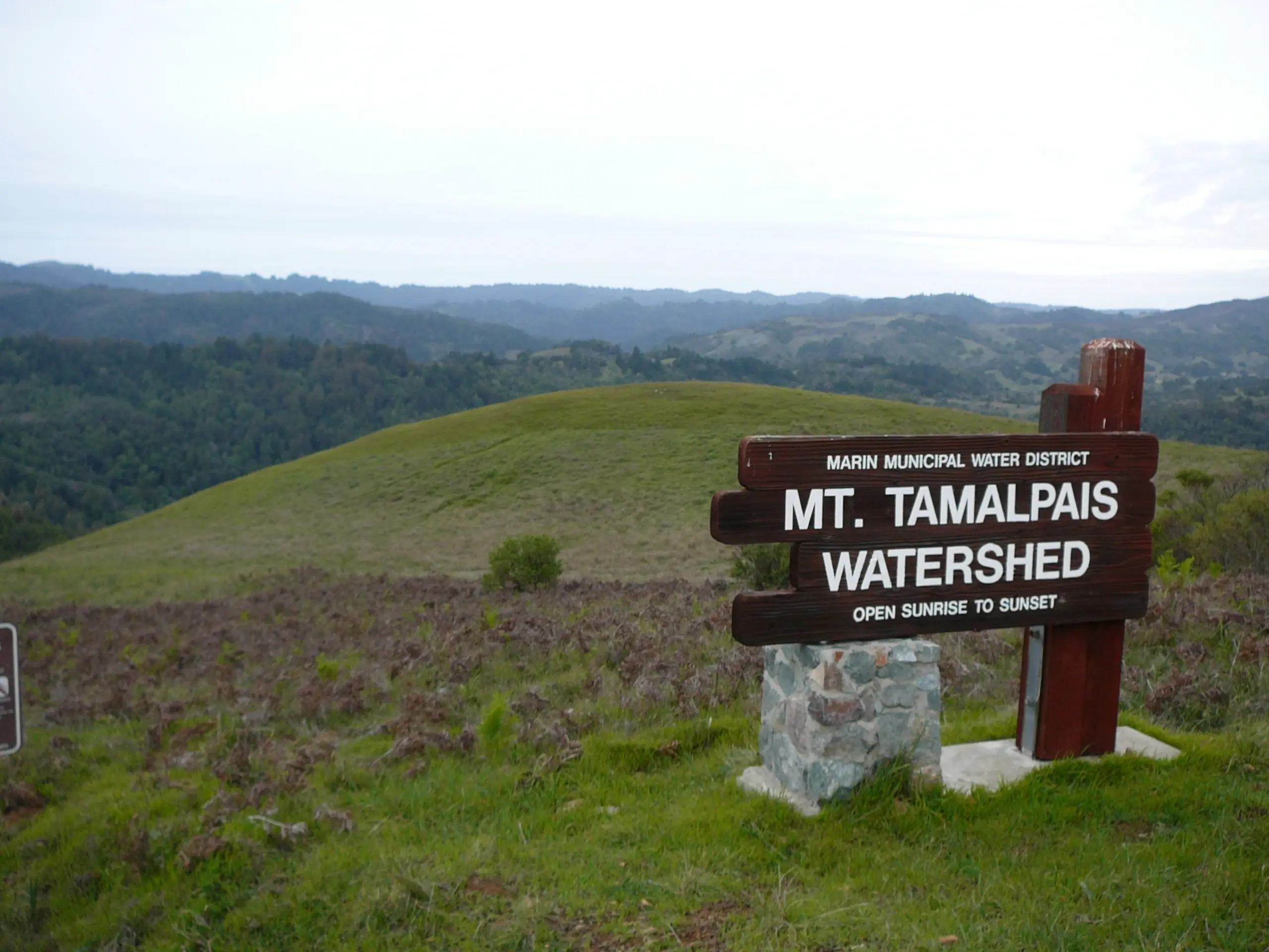 Mt. Tam Bird Walk