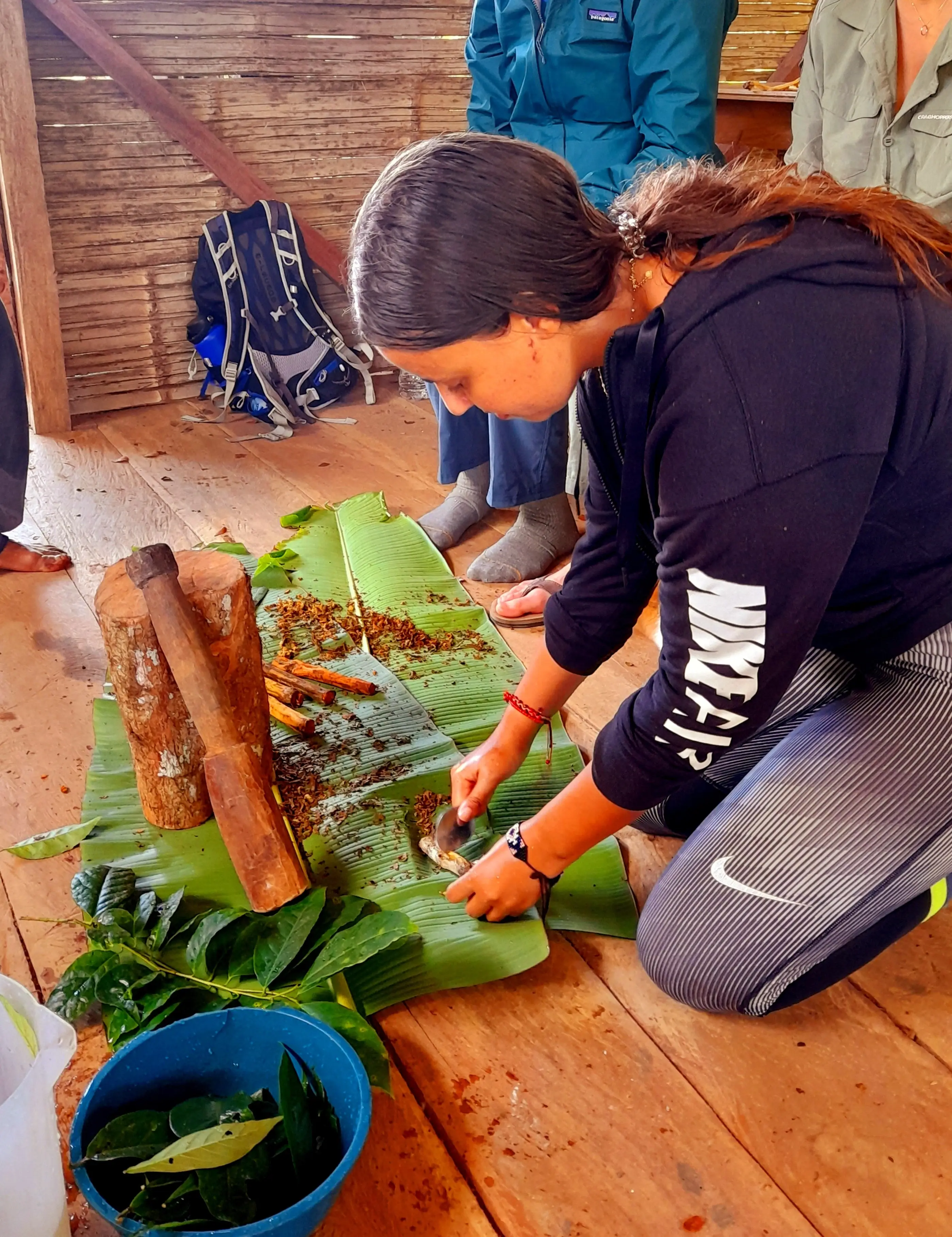 Amazonian Traditional Plant Medicine Internship