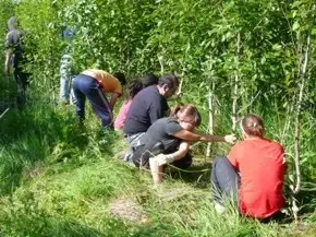 Organic gardening and forestry activities in Solheimar Eco-village in Iceland