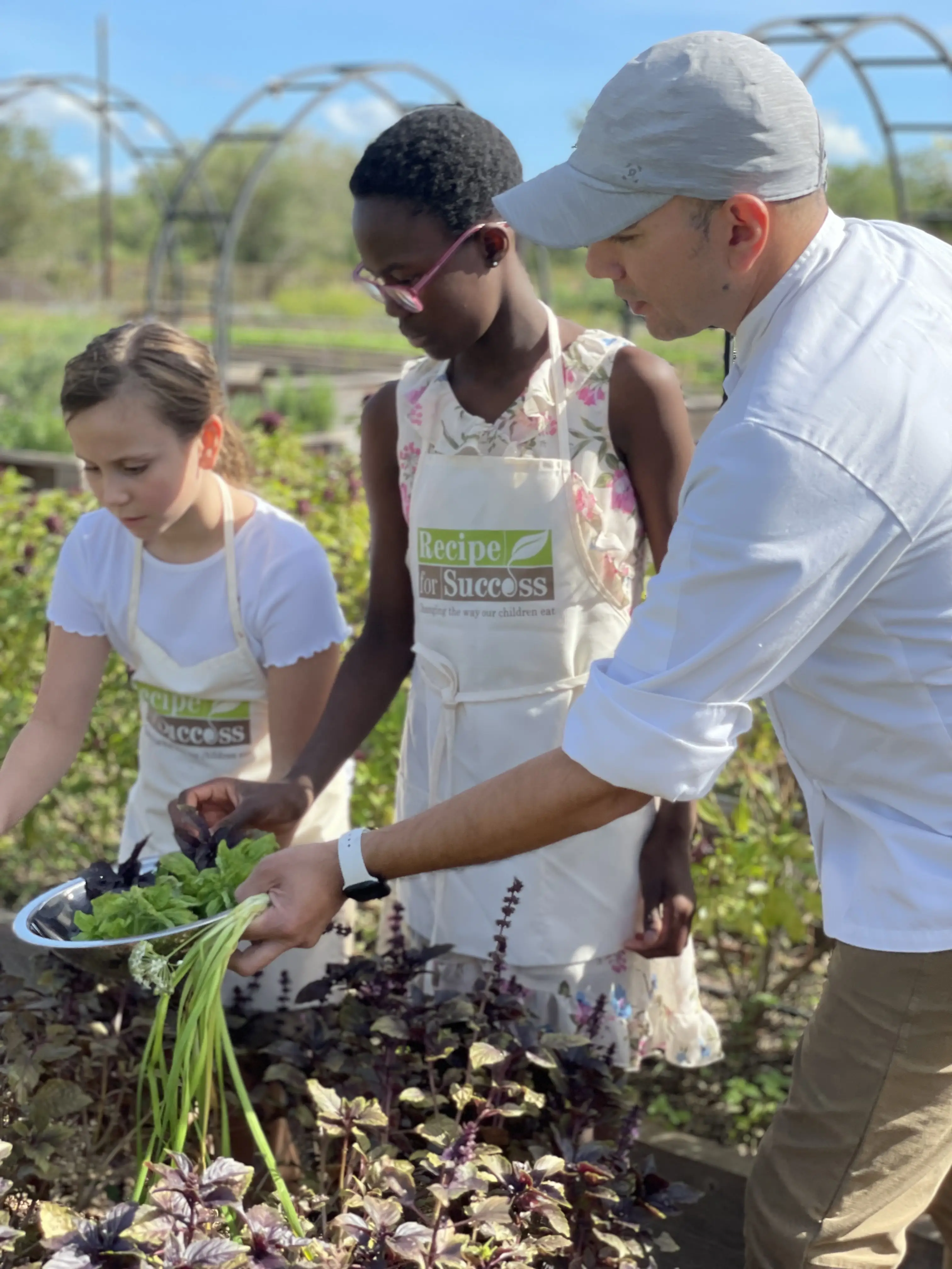 Healthy Eating Pied Piper: Be a Seed-to-Plate Nutrition Educator aid