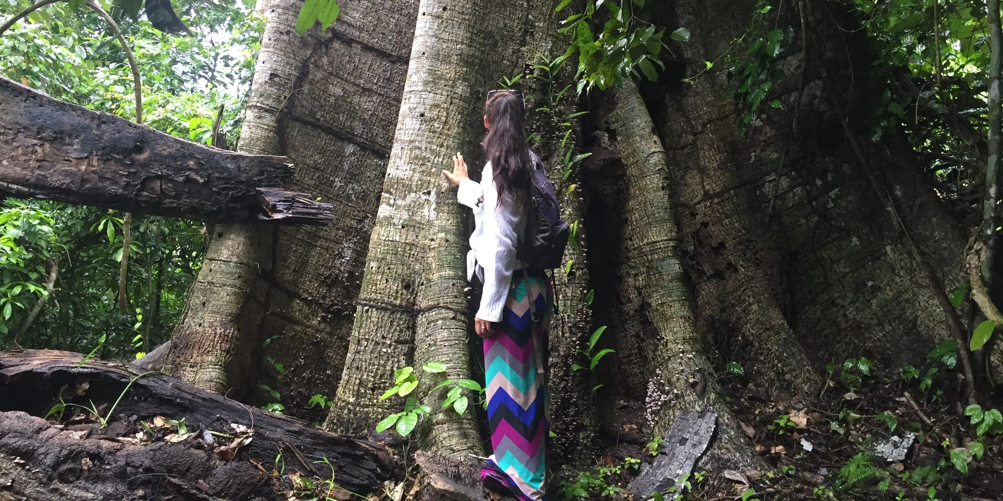 Native Plant Study in the Bolivian Amazon