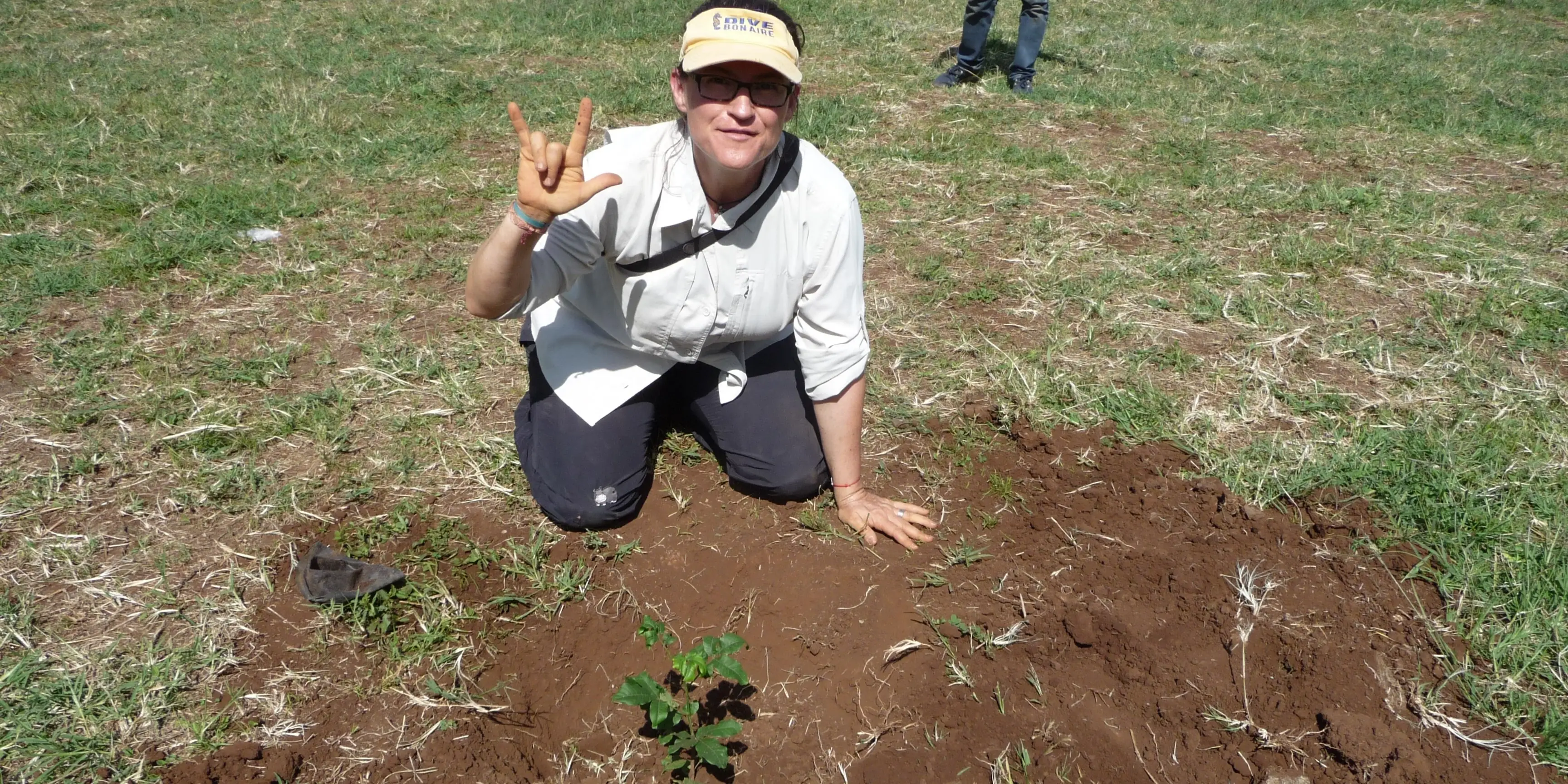 Reforestation and Trail Maintenance