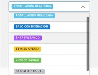 diferentes opciones dentro el proceso de selección