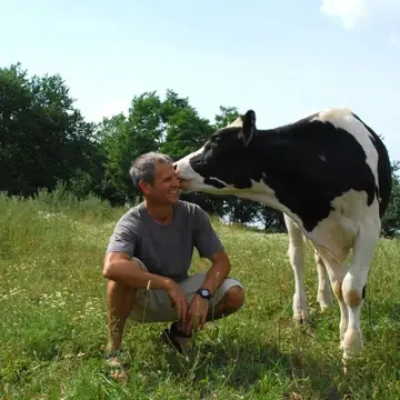 Gene Baur, president of Farm Sanctuary, poses with cow resident