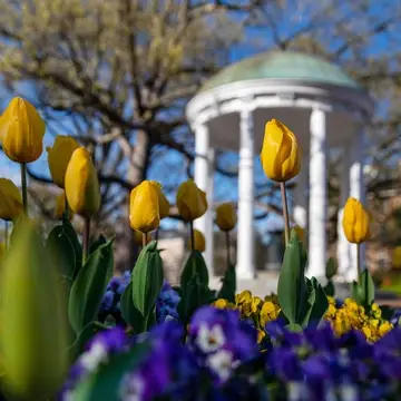 UNC Old Well