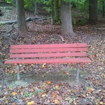 Painting Park Benches in Fairfax City