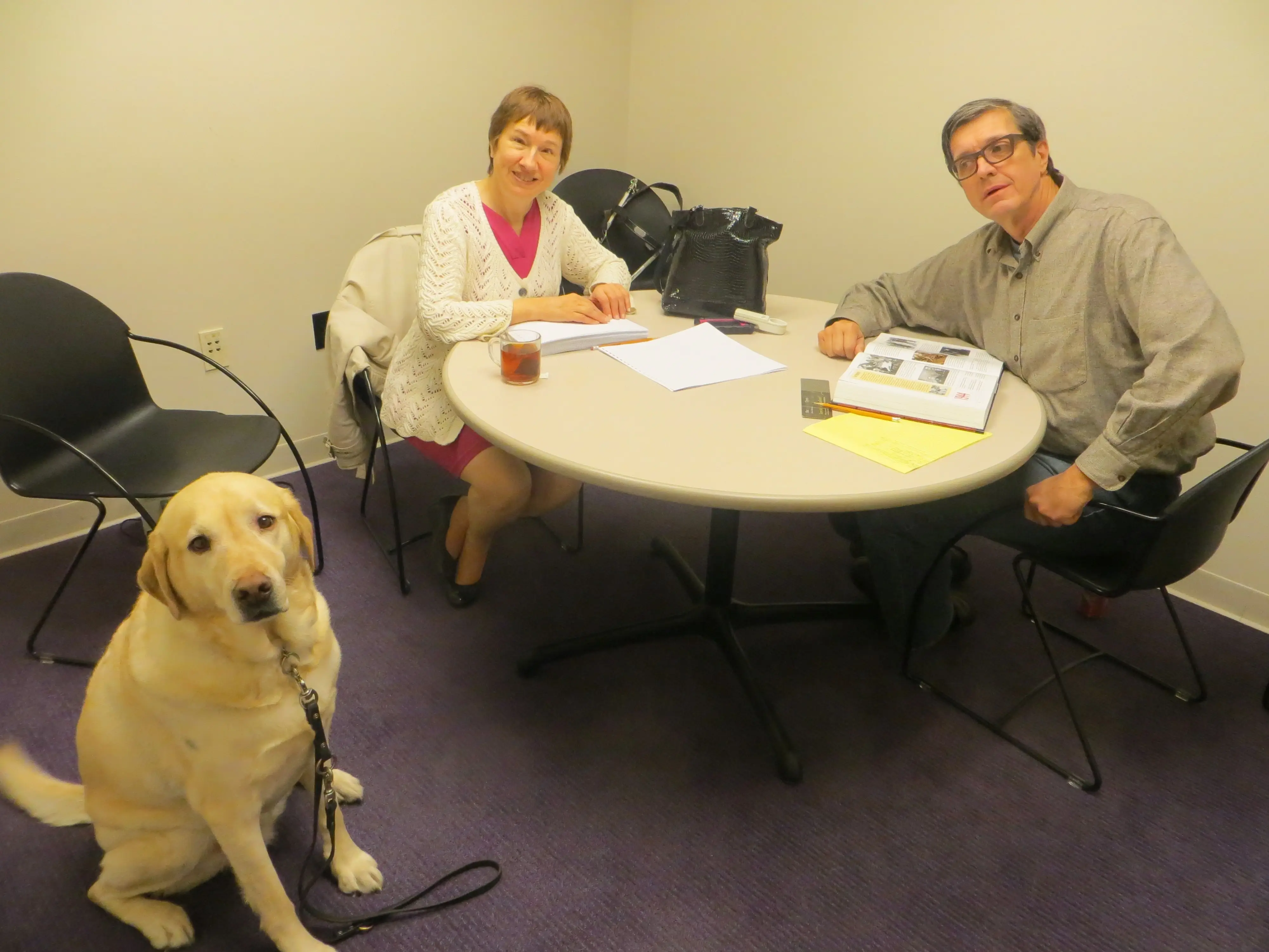 Tactile Braille Proofreader - Braille Proofreading Team