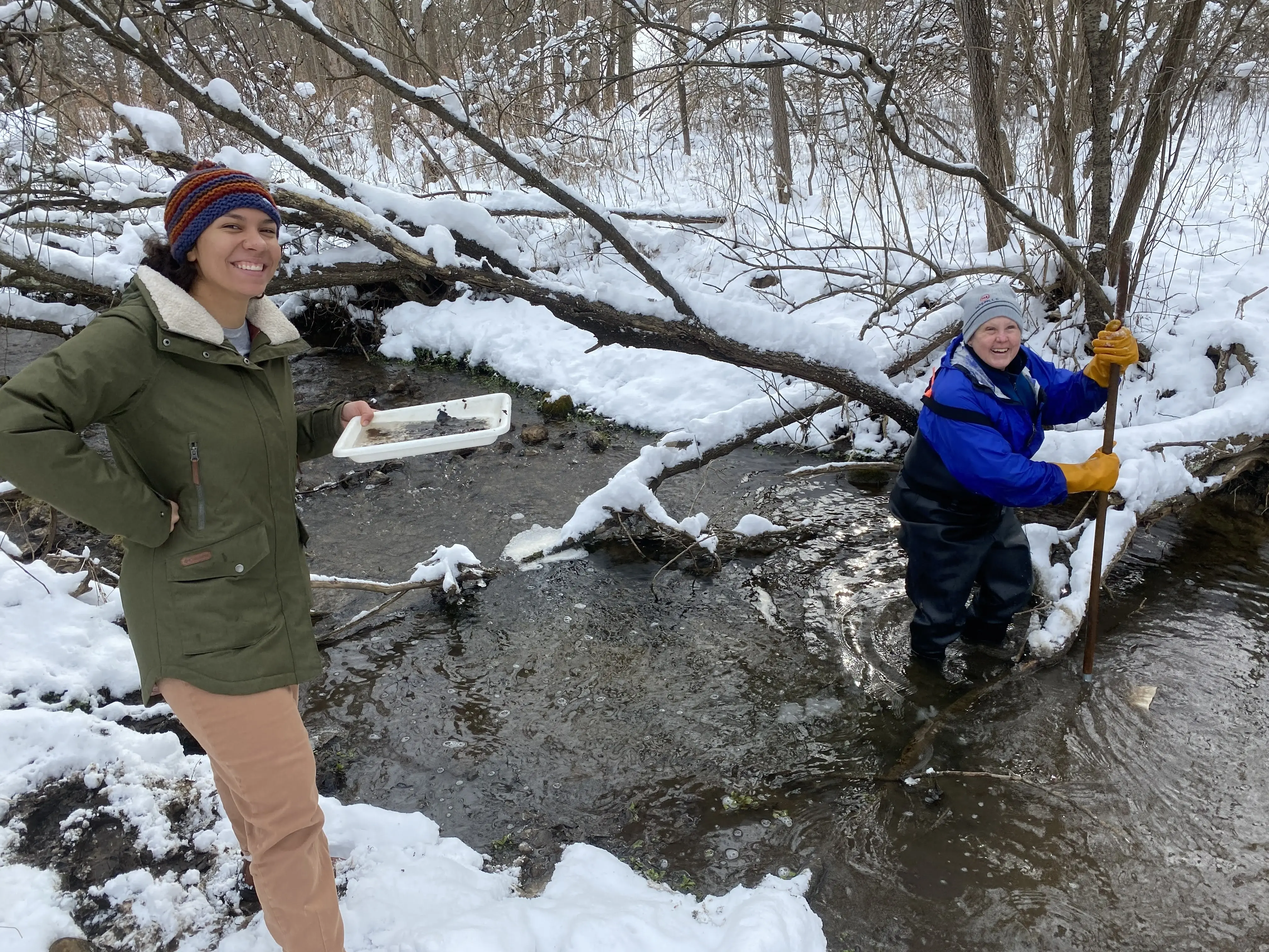 Winter Stonefly Search