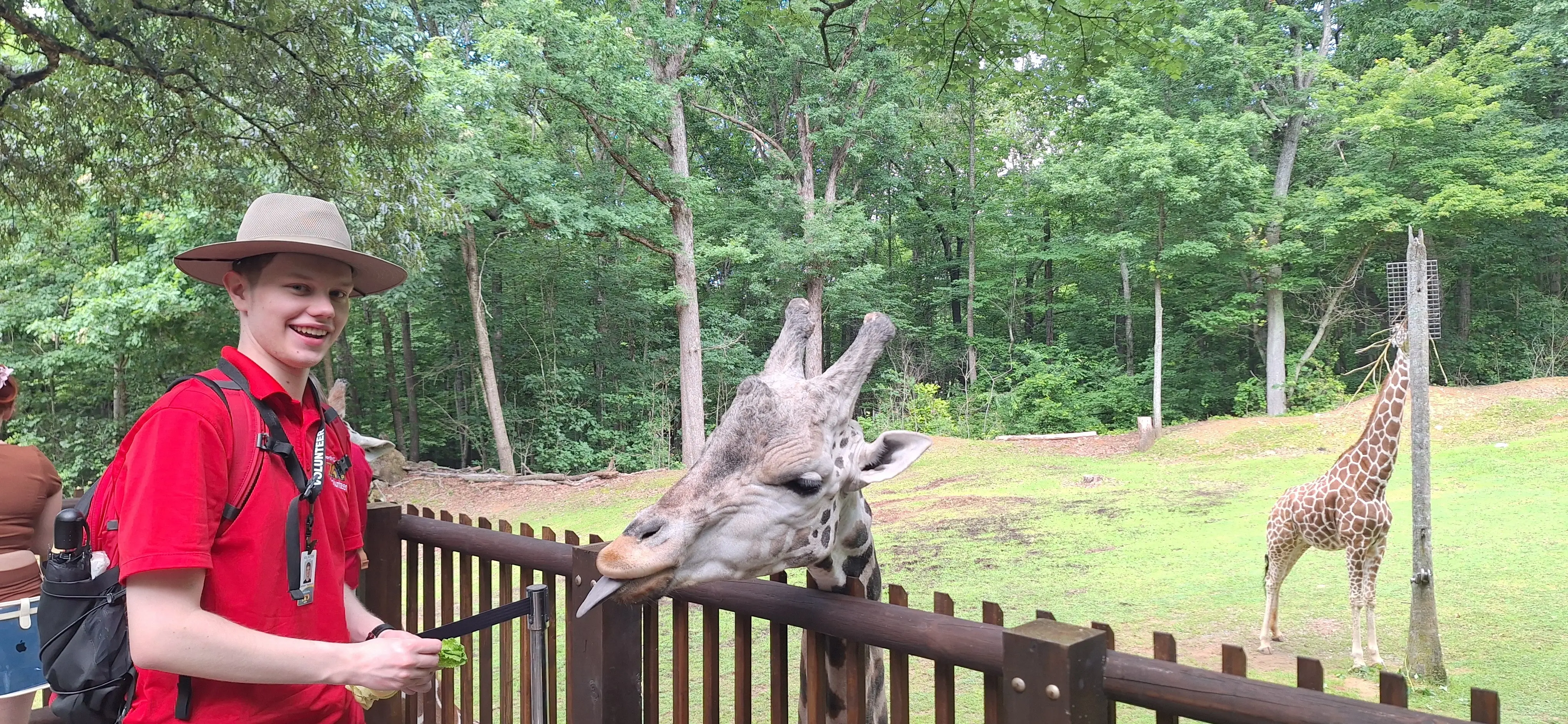 Giraffe Deck Attendant - North Carolina Zoo