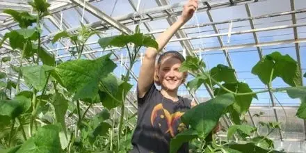 Forestry and gardening activities in the Rehabilitation and Health Clinic in Hveragerdi