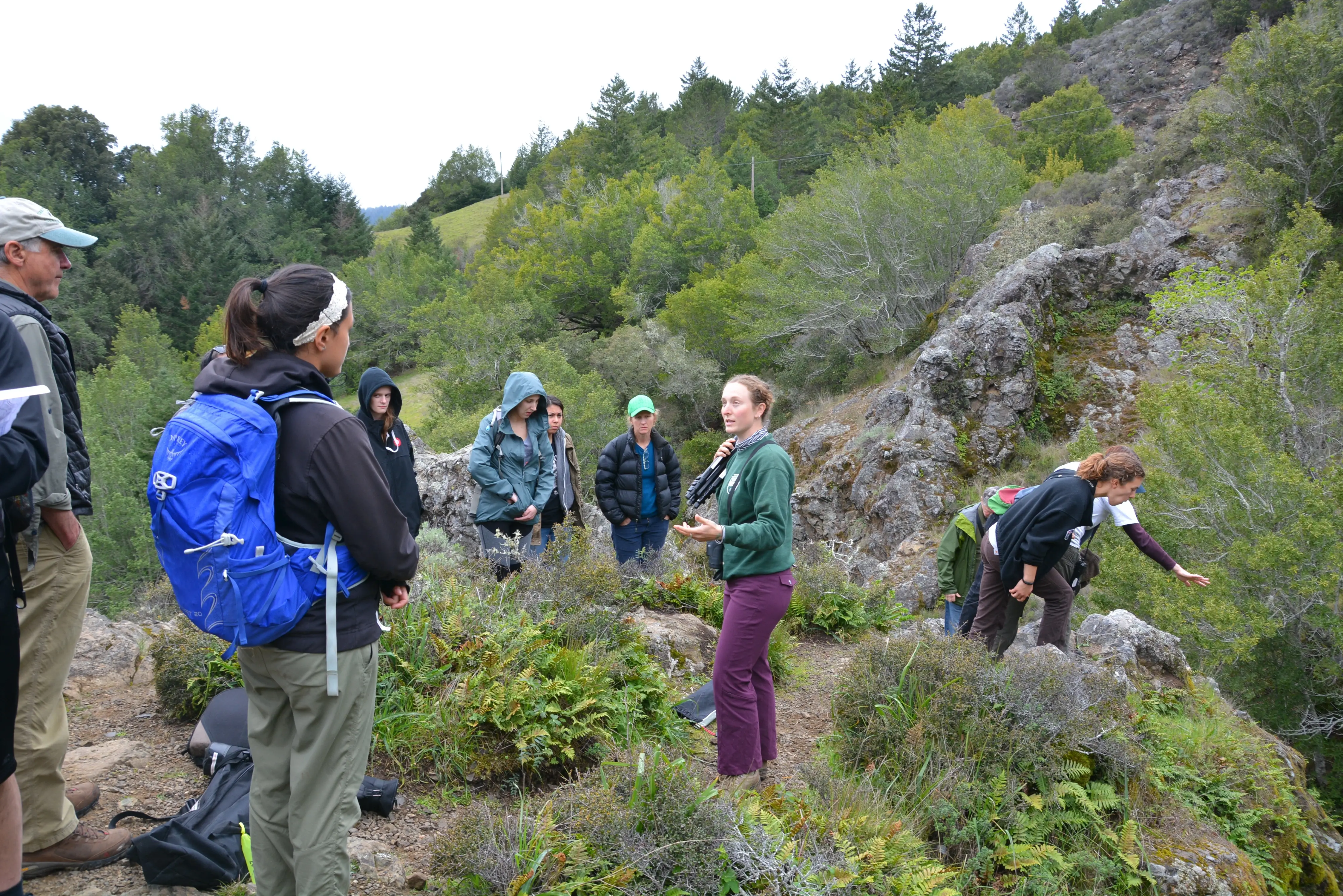 Mt. Tam Turtle Observer Training