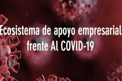 Afiche que dice Ecosistema de apoyo empresarial frente al COVID 19