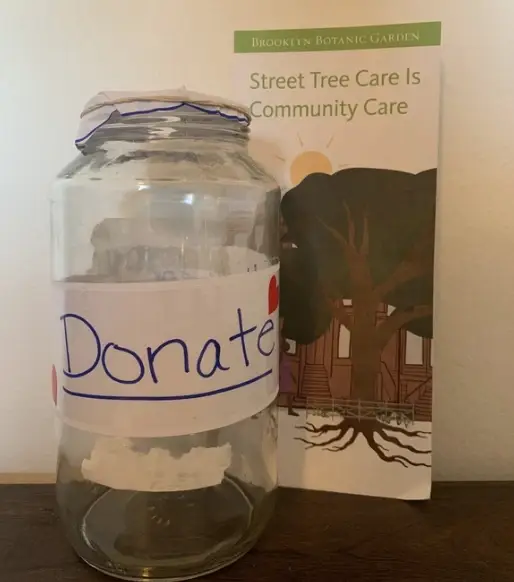 A jar labelled "Donate" in front of a pamphlet for the Brooklyn Botanic Garden.