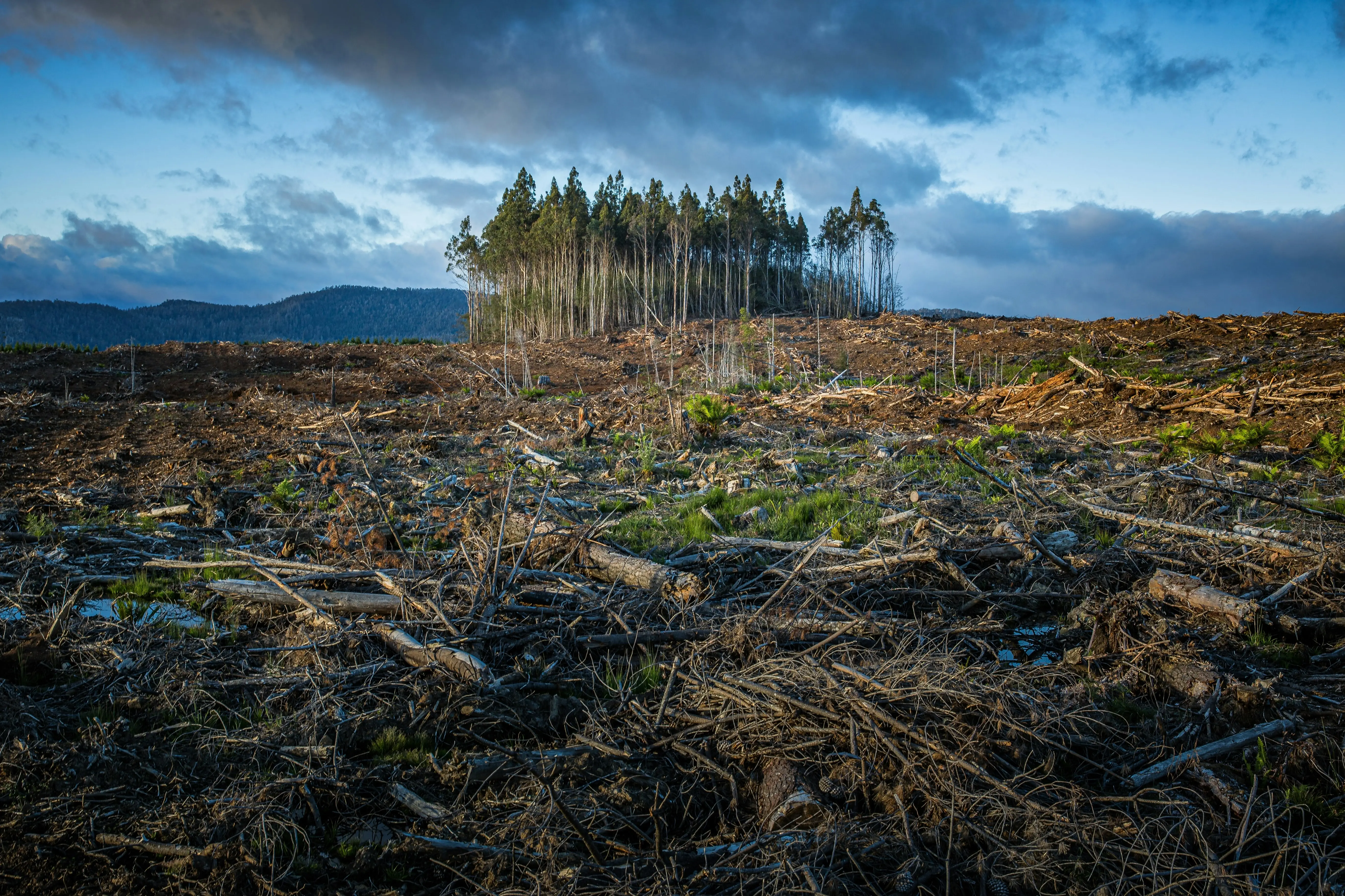 Volunteer Opportunity: Write Articles on Climate Change