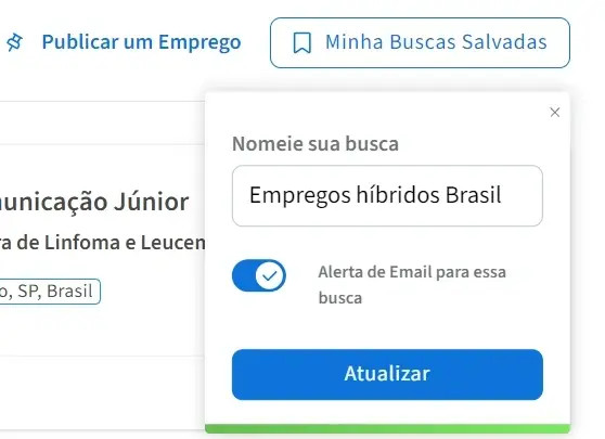 Uma captura de tela do site da Idealist mostrando como nomear uma busca salva.