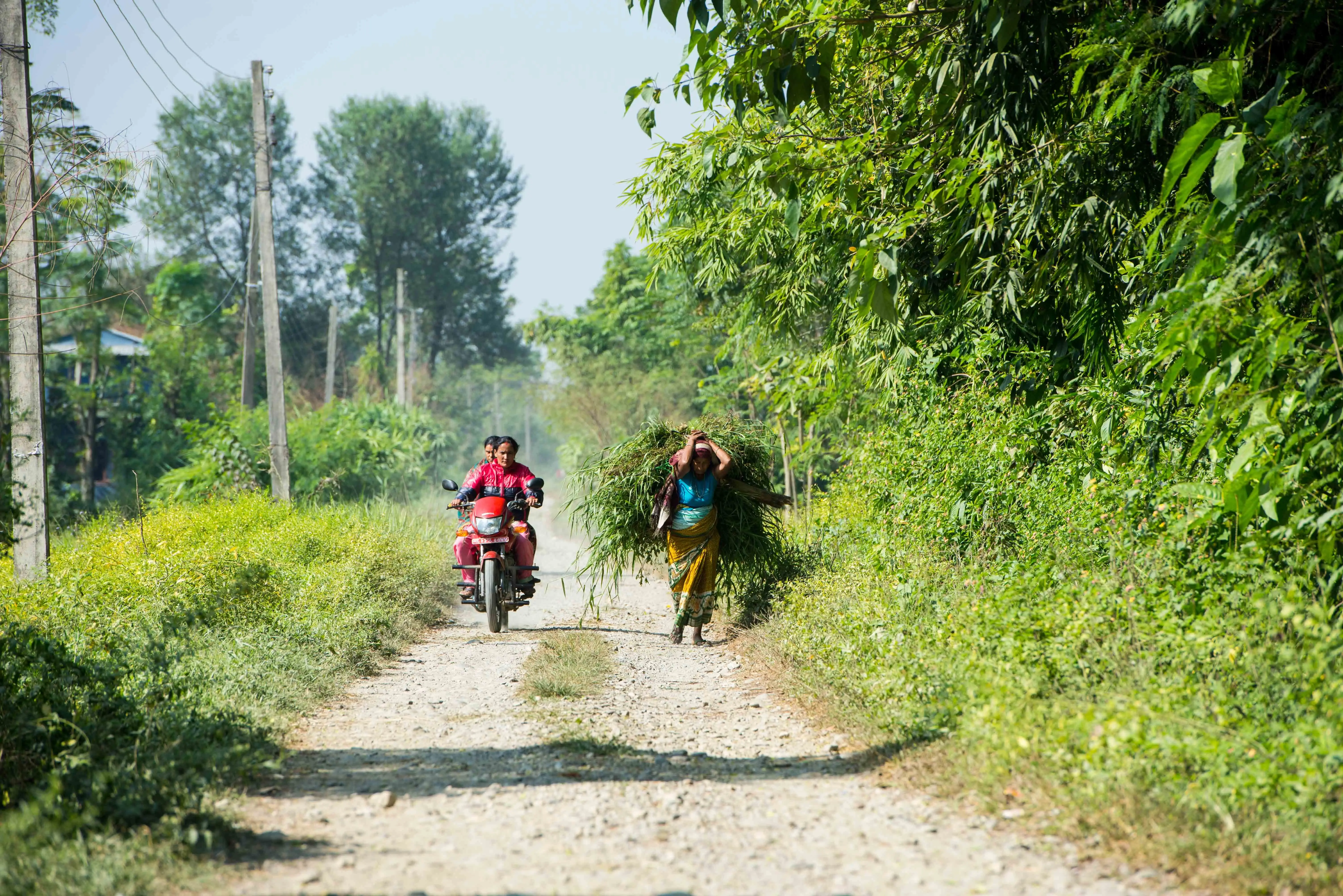 Nepal medical internship