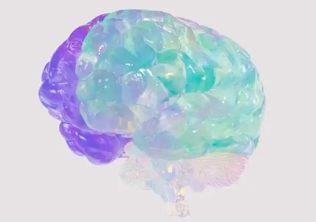 Cerebro con colores y transparencias