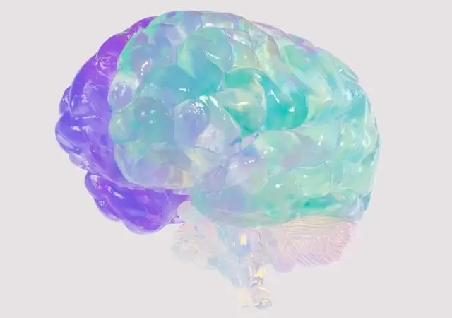 Cerebro con colores y transparencias