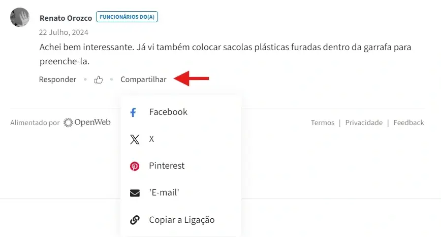 Captura de tela do site Idealist mostrando como compartilhar um comentário.