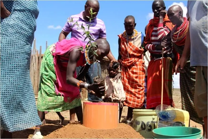 Creating food forests in Kenya