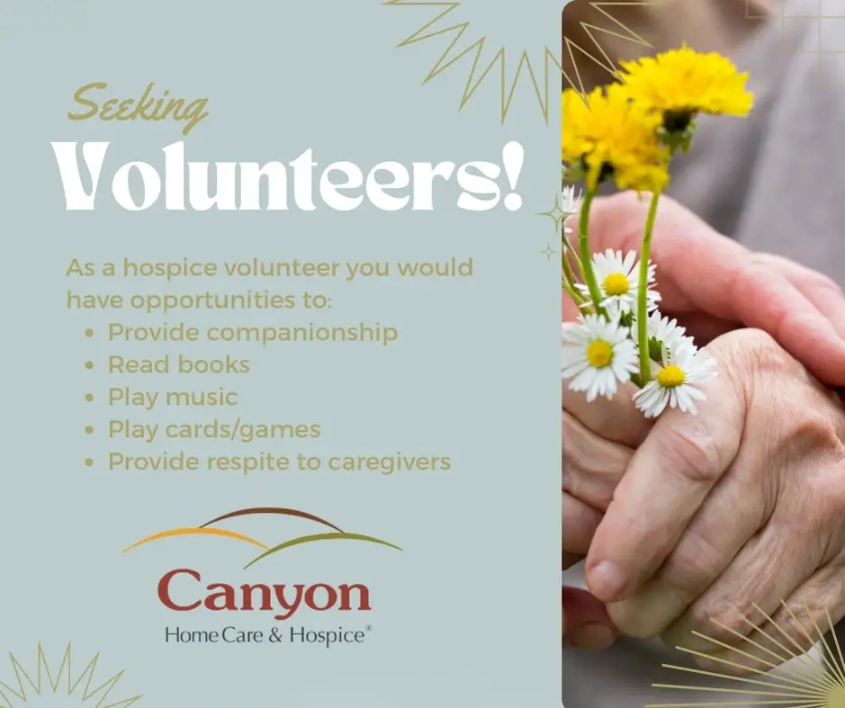 Hospice Companionship Volunteer Opportunity!