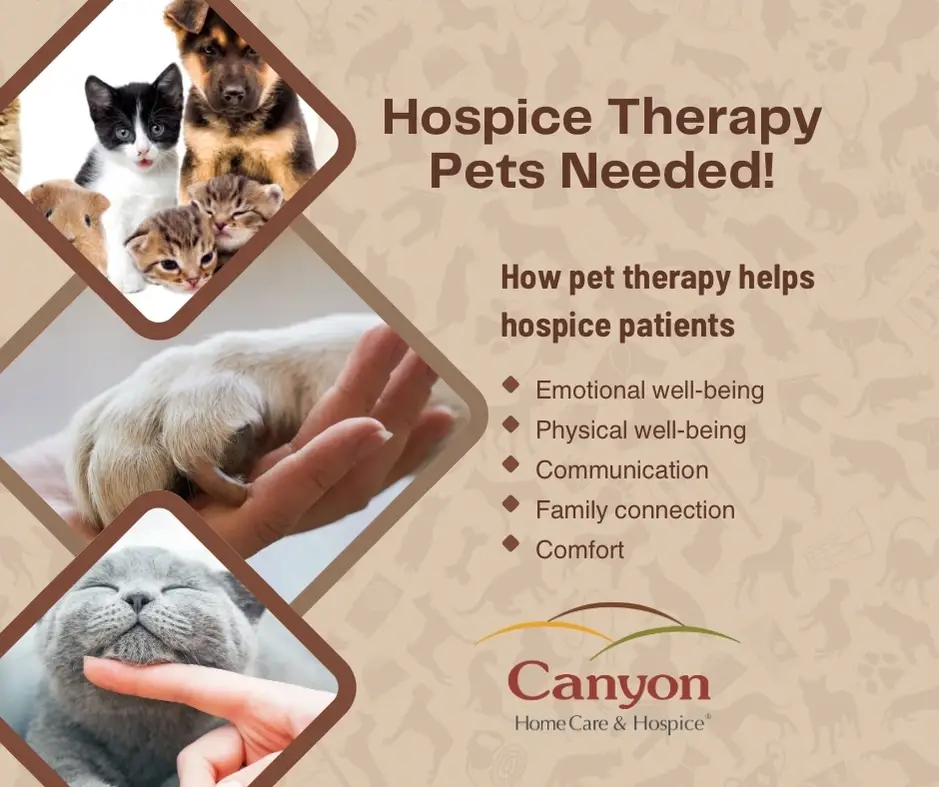 Hospice Therapy Pet Volunteering